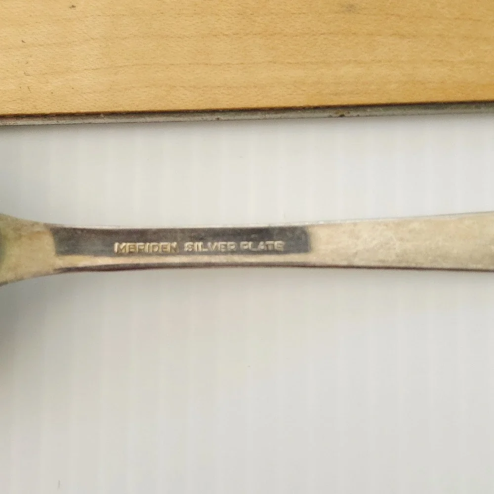 4 Meriden IS Silverplate DELIGHT Oval Soup/Place Spoons‎ 7-1/4